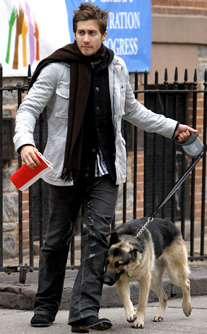 Jake Gyllenhaal Jake Gyllenhaal